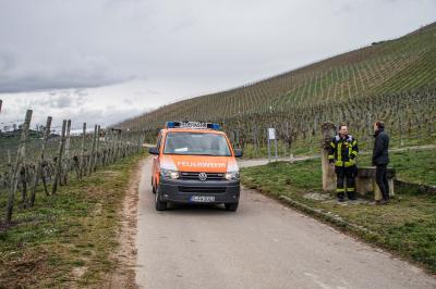 Stuttgart: Vergebliche Suche nach vermisstem Hund